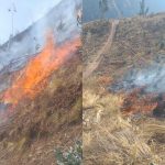 Cusco: incendio forestal incontrolable ya devasta más de 120 hectáreas de pastos en Lucre